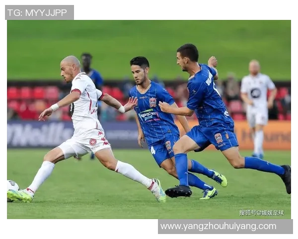 惠灵顿凤凰与中部海岸队员激战正酣精彩瞬间回顾与分析